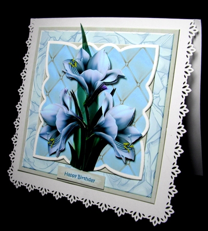 Scallop Amazing Amaryllis by Dianne Jackson