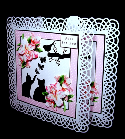 Adorable Cats - Insert by Dianne Jackson