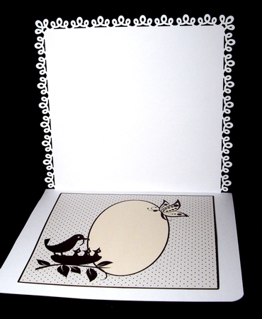 Feed The Birds - Insert by Dianne Jackson