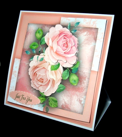 Stunning Pink French Roses by Dianne Jackson