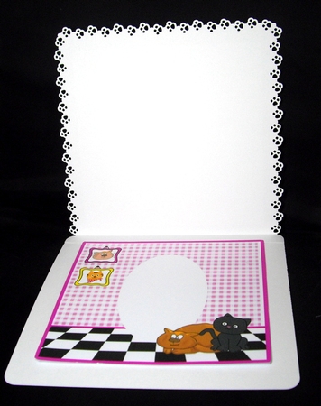 Crazy Cat Lady - Insert by Dianne Jackson
