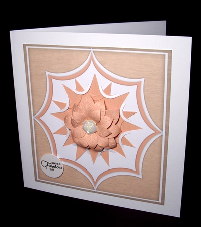 Pale Pink Star Frame  by Dianne Jackson