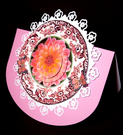 dahlia plate by Dianne Jackson