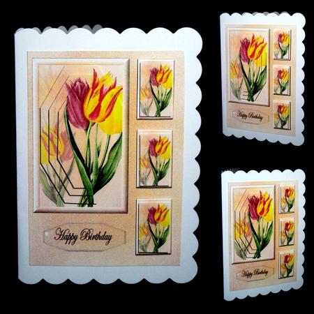 Tulips by Dianne Jackson