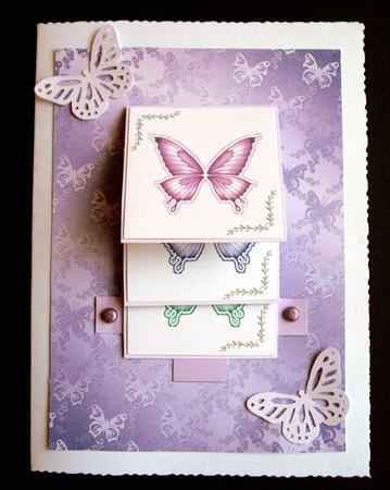 Butterflies Waterfall by Dianne Jackson
