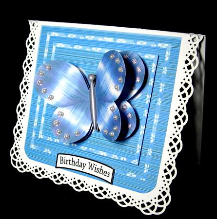 Glossy Butterfly by Dianne Jackson