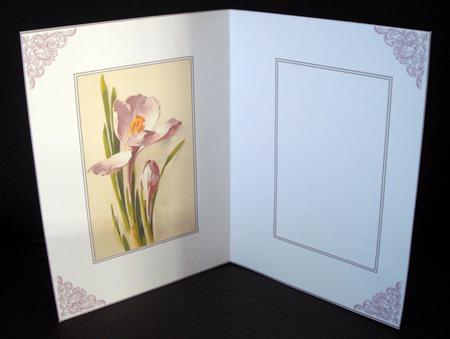 Floral Insert 29 Crocus by Dianne Jackson