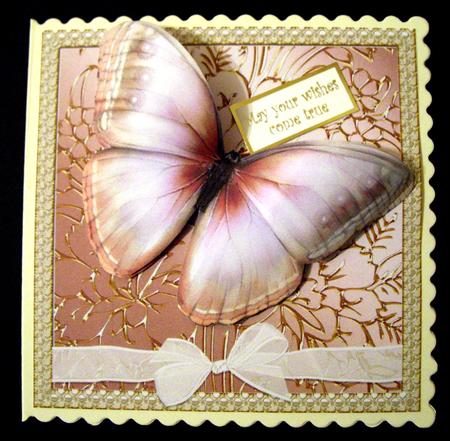 Gilded Window Card Front & Text Plate - Copper by Dianne Jackson