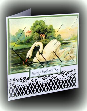 Mother Swan and Cygnets - Diamond Stacker Card by Dianne Jackson