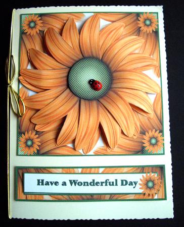 Gerbera Beauty by Dianne Jackson