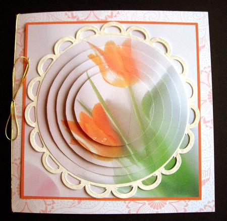 Beautiful Tulips Circle Pyramid by Dianne Jackson