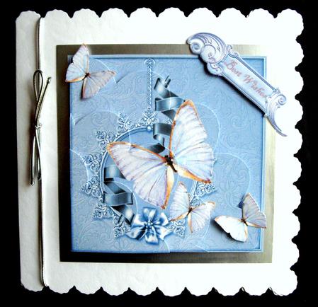 Butterfly Blues by Dianne Jackson