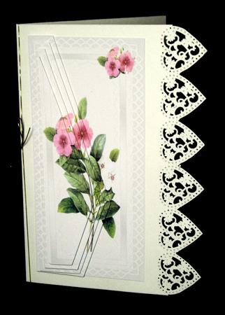 Wild Flat Head Rose by Dianne Jackson