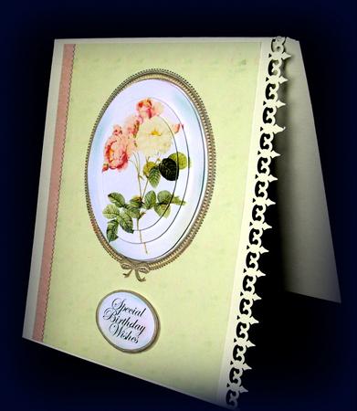 Redoute Rose Cameo by Dianne Jackson