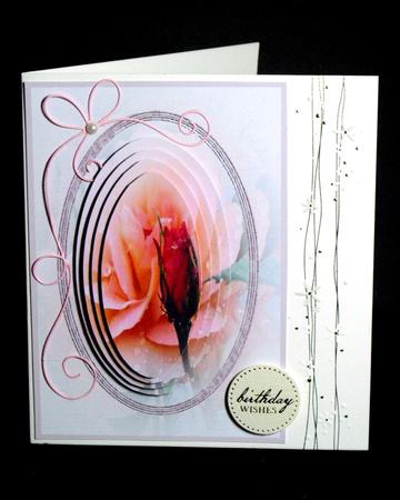 Peachrose by Dianne Jackson