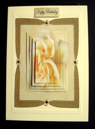 Lemon Rose by Dianne Jackson