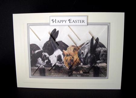 Bountiful Bunnies - Diamond Stacker Card by Dianne Jackson