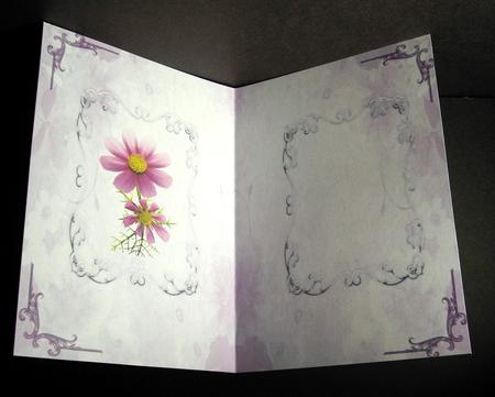 Floral Insert 71 by Dianne Jackson