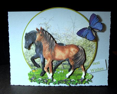 Horses in Spring by Dianne Jackson
