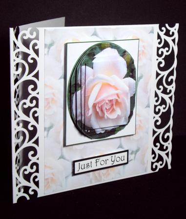 Pink Rose Backing2 by Dianne Jackson