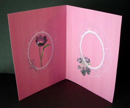 Deep Pink Floral Insert by Dianne Jackson