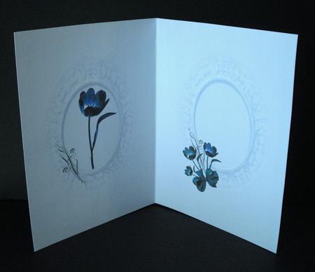Blue Floral Insert by Dianne Jackson