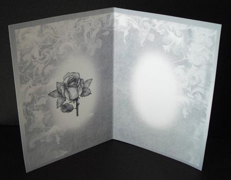 Rose and Swirls Insert 3 by Dianne Jackson