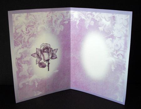 Rose and Swirl Insert 2 by Dianne Jackson