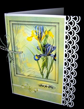 Blue and Yellow Iris by Dianne Jackson