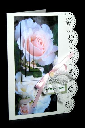 Rose Get Well by Dianne Jackson