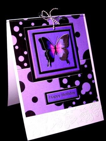 The Purple Butterfly by Dianne Jackson