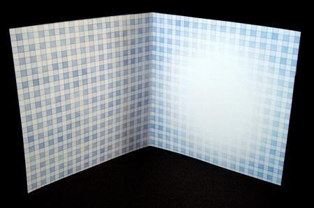 Men's Gingham Square Portrait or Landscape Insert by Dianne Jackson