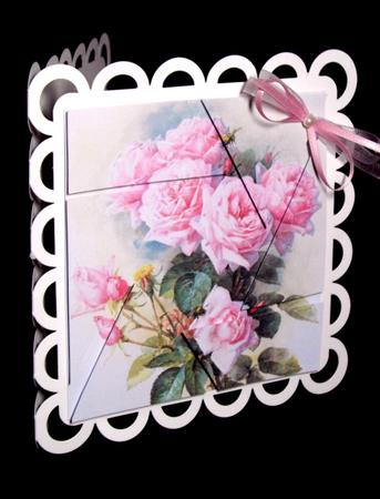Pink Rose's Camera Eye Stacker by Dianne Jackson