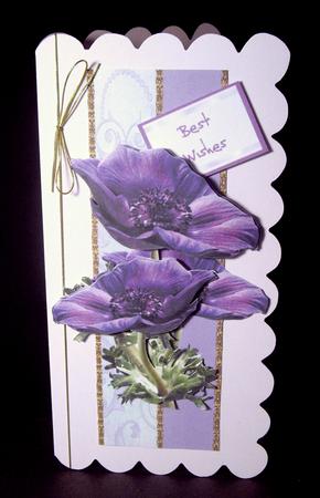 Anemone Step by Step 2 by Dianne Jackson
