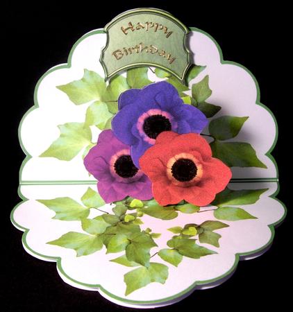 Anemone Shaped Pop-up Kit by Dianne Jackson