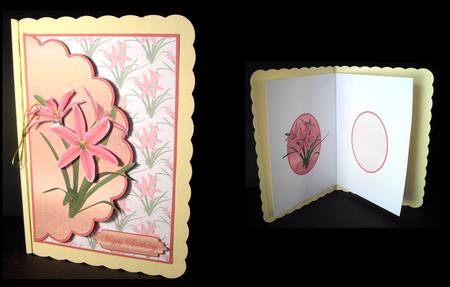 Pink Flowers Insert by Dianne Jackson