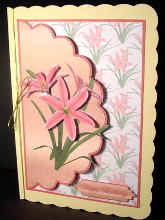 Pink Flowers Envelope Cardfront by Dianne Jackson