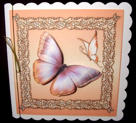 Butterflies and Lace Square Card Front in Peach by Dianne Jackson