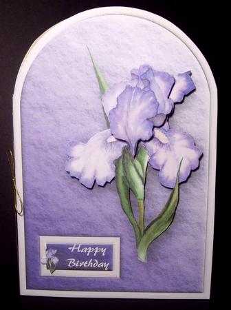 Purple Iris Rounded Quick Card by Dianne Jackson