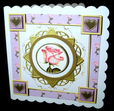 Rose & Gold by Dianne Jackson