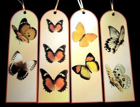 Butterfly Chase - Bookmarks - Gold N Browns by Dianne Jackson