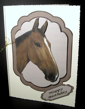 The Lone Horse by Dianne Jackson