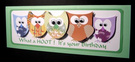 Owl Dl Card by Dianne Jackson