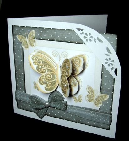 Birthday Butterfly by Dianne Jackson