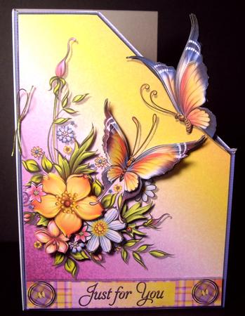 Summer Butterflies by Dianne Jackson