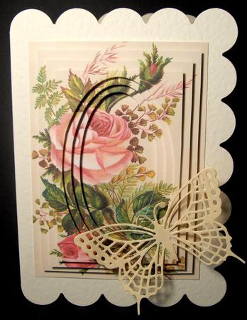 Pink Rose by Dianne Jackson