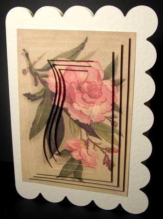 Pinks by Dianne Jackson