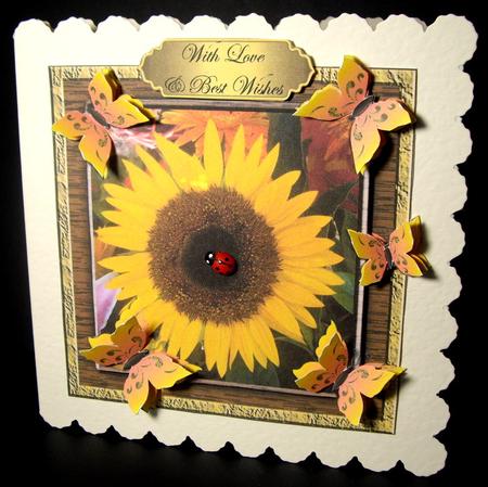 Various Occasions Greetings & Sentiments Set 1 by Dianne Jackson