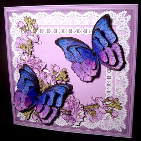 8 x 8 Butterflies Flowers N Lace Kit with 3D Decoupage by Dianne Jackson