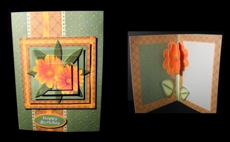 Tangerine Flower Inside Card Kit by Dianne Jackson